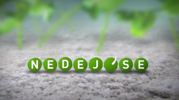 Občanské noviny, Nedej se