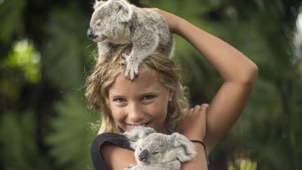 Hrdinové z The Dodo II (4)