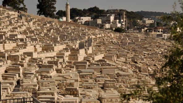 Bible Secrets Revealed (5)