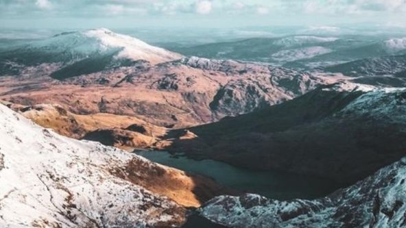 Jak je vidí ptáci III (8)