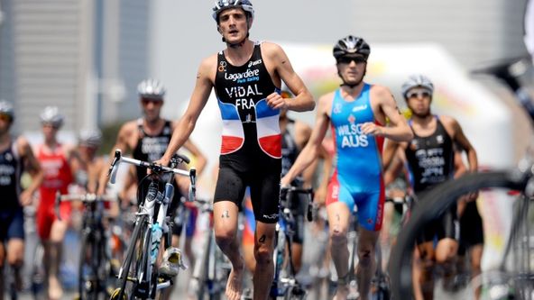 World Triathlon Championships Series