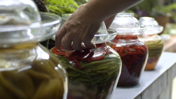 Čína na jazyku II (3/8)