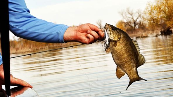 Za rybami světových moří