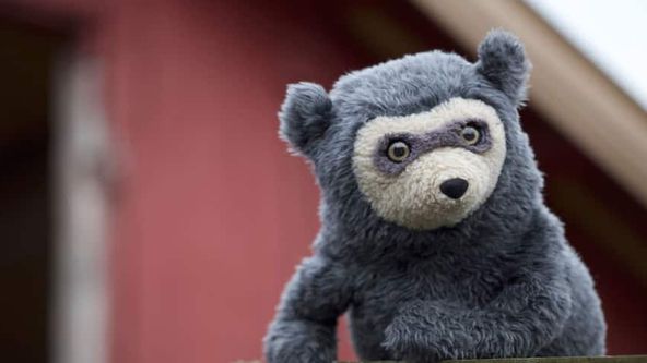 Rady medvídka mývala