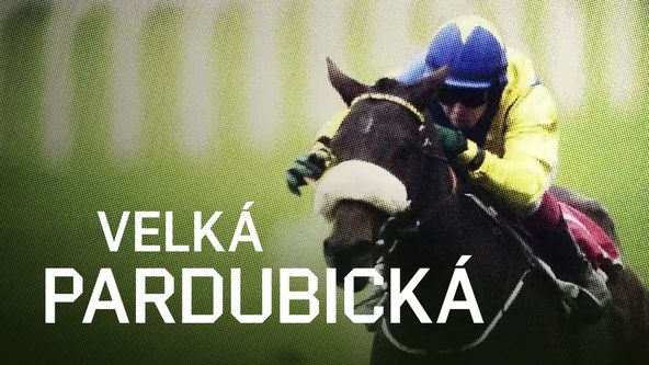 Velká pardubická 2025, Dostihy