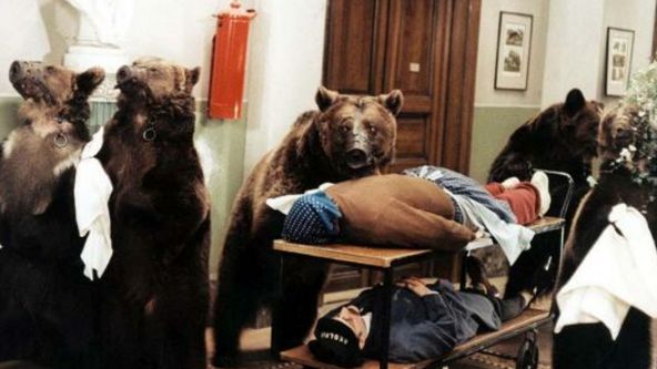 Šest medvědů s Cibulkou