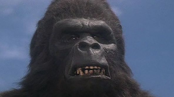 King Kong žije