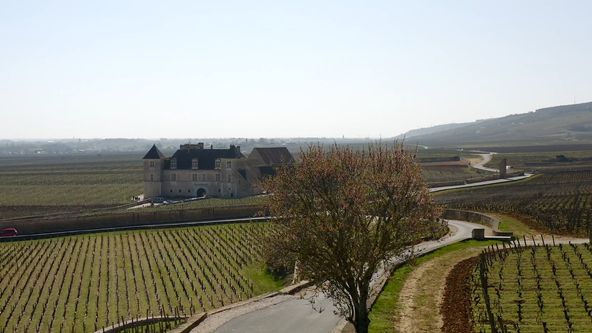 Milovníci vína (7/16)