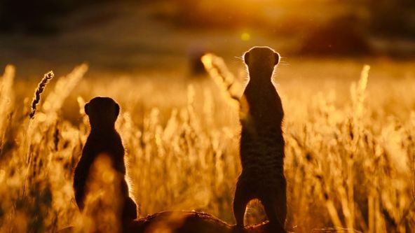 Namibie - země mnoha tváří (2)