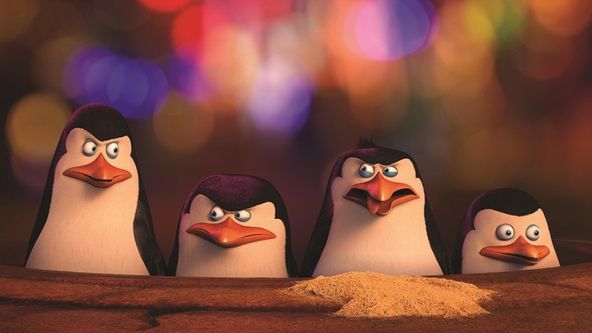 Tučňáci z Madagaskaru (14/48)