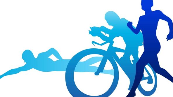 World Triathlon Championships Series