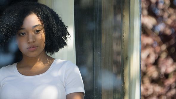 Všechno, úplně všechno