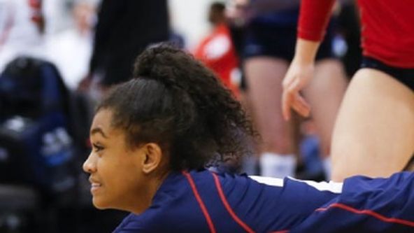 CEV Liga mistrů 2024/2025, Volejbal