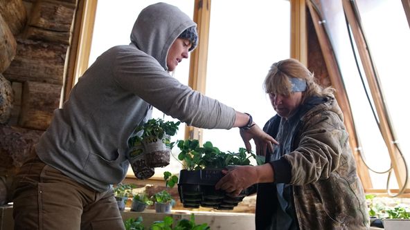 Záchrana statku (3)