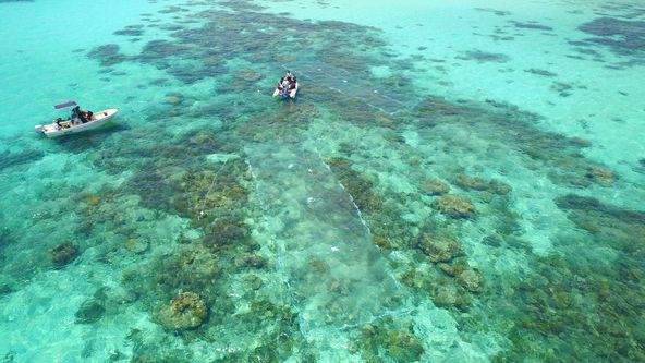 Korálová planeta (1)