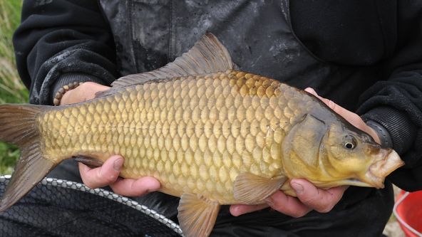 Za rybami světových moří