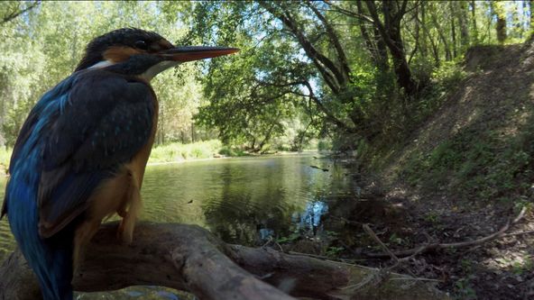 Živá voda, živý svět
