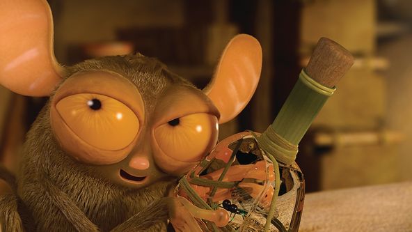 Esa z pralesa II (29/52)