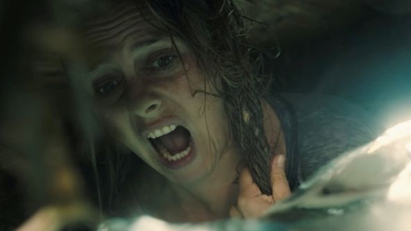 The Requin - Der Hai