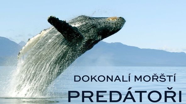 Dokonalí mořští predátoři (2/4)