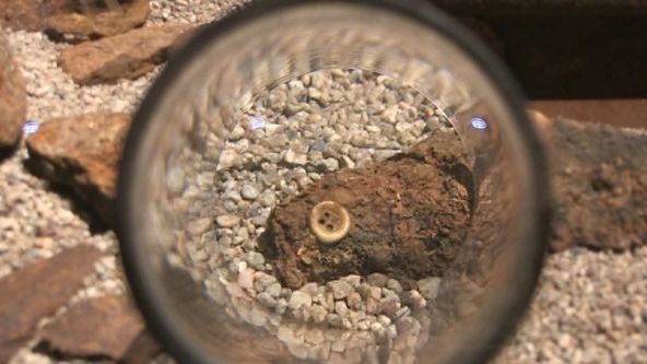 Perleťový knoflík