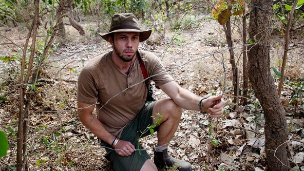 Psi hyenovití: Ve smečce (2)