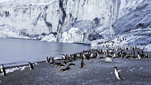 Antarktida z ptačí perspektivy (2)