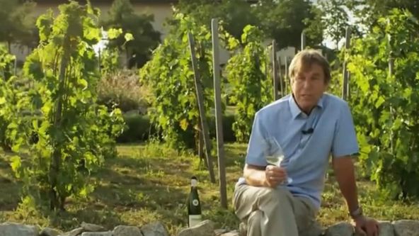 Vínne cesty Slovenska