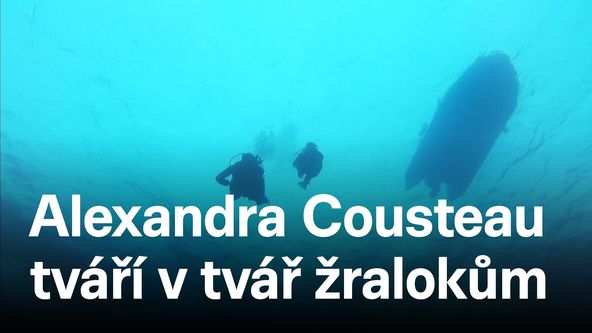 Alexandra Cousteau tváří v tvář žralokům