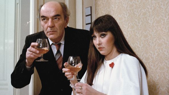 Návštěvníci (1/15)