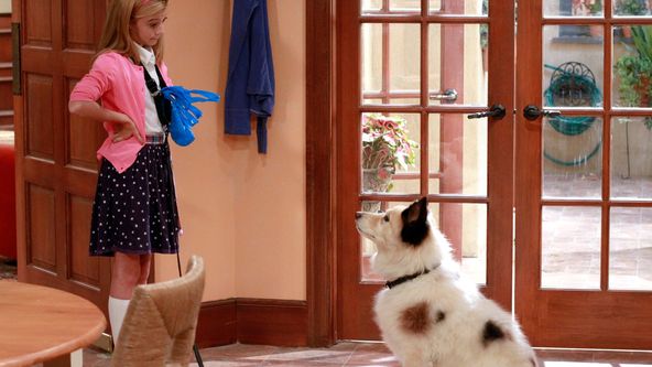 Pes a jeho blog II (20/24)