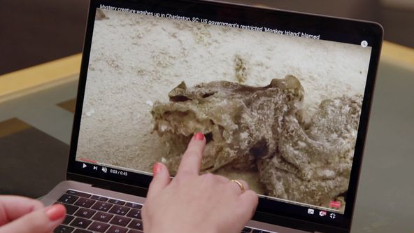 Jak se tohle dá vysvětlit? II (4)