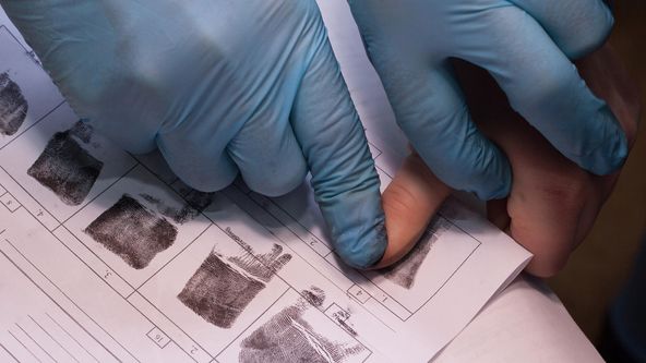 Ideální podezřelý (3)