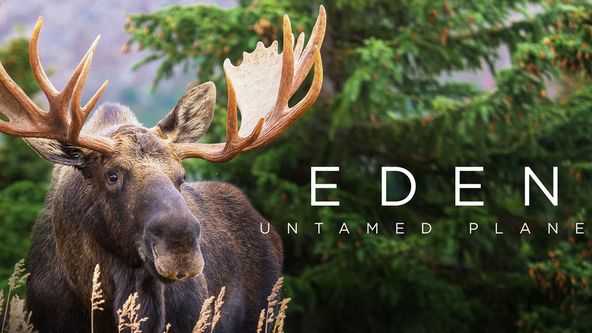 Poslední ráje na Zemi - Luangwa, Zázračná planeta