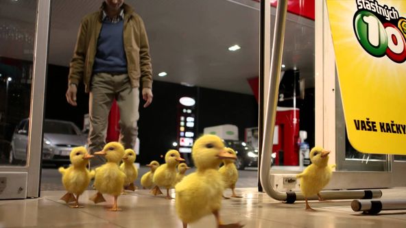 Výsledky losování Šťastných 10