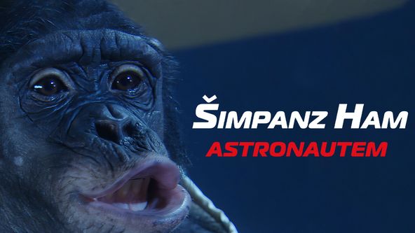 Šimpanz Ham astronautem