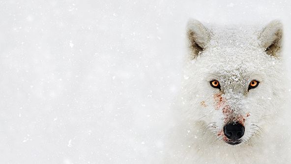 Nevlídná planeta (5)