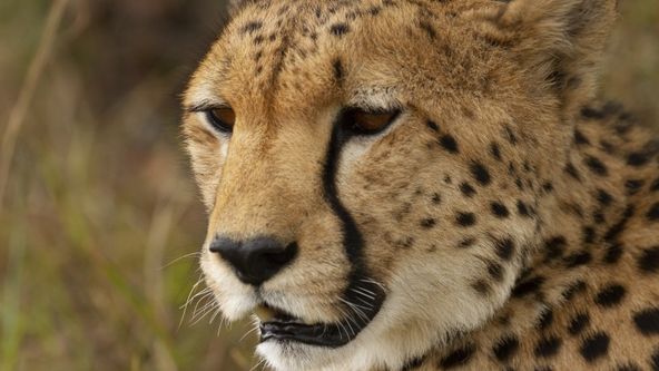 Matka příroda (2/2)