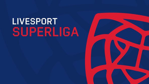 Livesport Superliga 2024/2025, Florbal