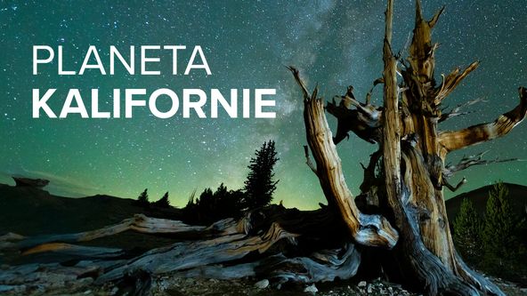 Planeta Kalifornie (2/2)
