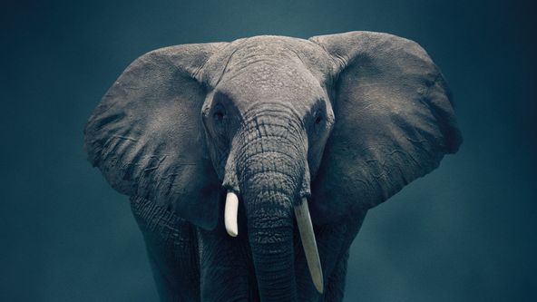 Dynastie II, Zázračná planeta (4/6)