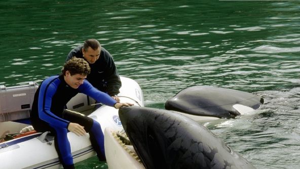 Zachraňte Willyho 3