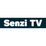 Senzi