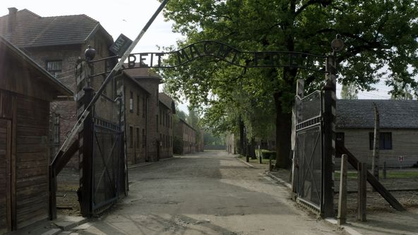 Osvětim: Skryté stopy, Mezinárodní den památky obětí holocaustu