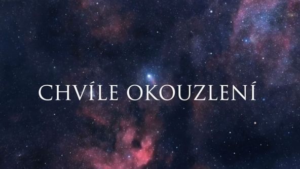 Chvíle okouzlení 2024, Estetické sporty