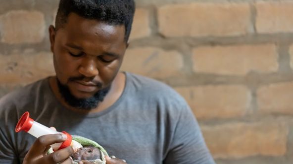 Záchrana divokých zvířat v Malawi (6)