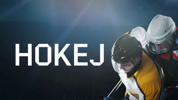Přípravné utkání mužů 2025, Hokej