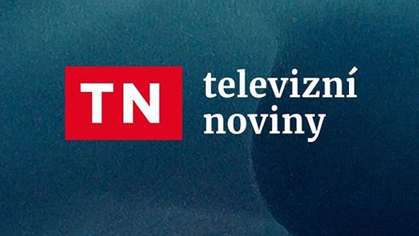 Televizní noviny