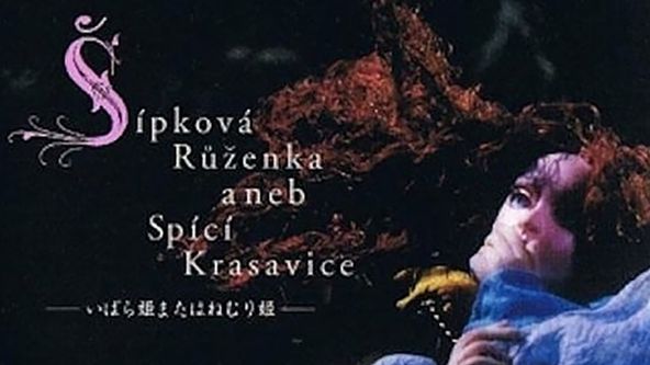 Šípková Růženka aneb Spící krasavice