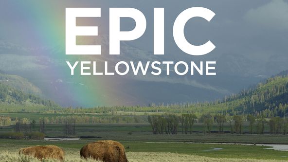 Zápisky z Yellowstonu (1)